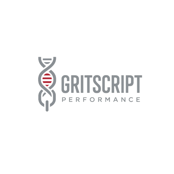GritScript Performance 